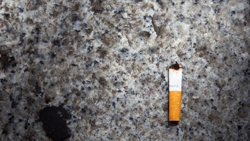 Man fined and sentenced to corrective work for throwing cigarette butt; caught littering 8 times in 12 years