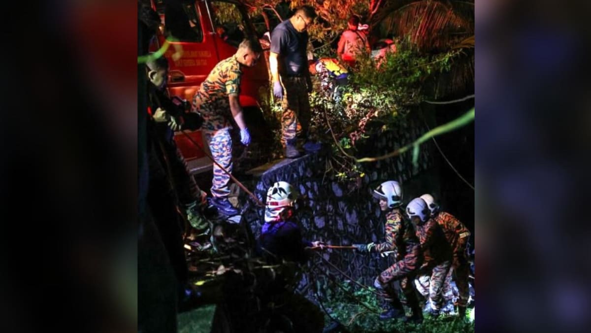 ‘It veered off 90 degrees into the ravine’: Singaporean who survived Penang van crash recounts experience ‘It veered off 90 degrees into the ravine’: Singaporean who survived Penang van crash recounts experience