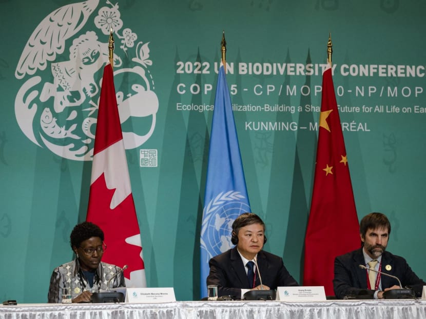 Executive Secretary of the UN Convention on Biological Diversity, Elizabeth Maruma Mrema (left); Chinese Ecology and Environment Minister, Huang Runqiu (center); and Canadian Minister of the Environment and Climate Change, Steven Guilbeault (right), hold a joint press conference at the UN Biodiversity Conference (COP15) in Montreal, Quebec, Canada on Dec 17, 2022