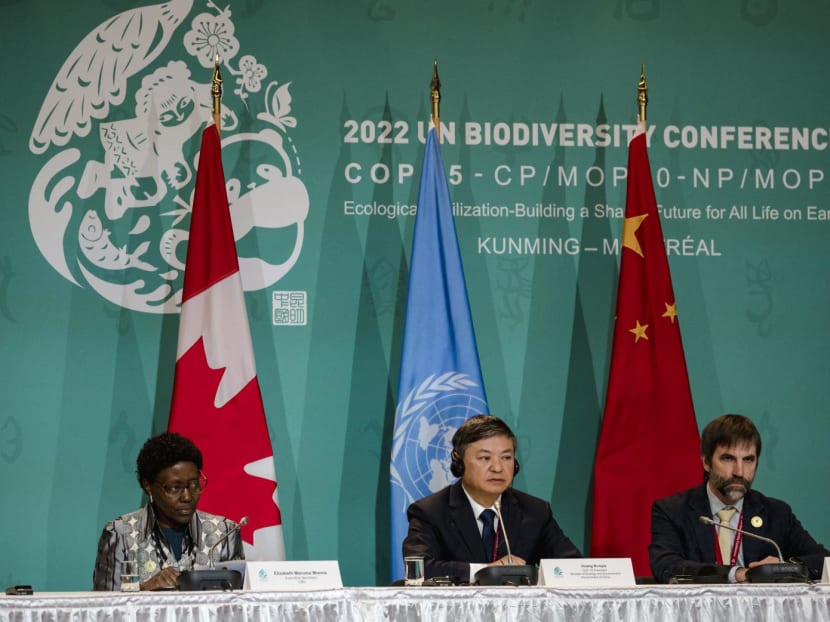 Executive Secretary of the UN Convention on Biological Diversity, Elizabeth Maruma Mrema (left); Chinese Ecology and Environment Minister, Huang Runqiu (center); and Canadian Minister of the Environment and Climate Change, Steven Guilbeault (right), hold a joint press conference at the UN Biodiversity Conference (COP15) in Montreal, Quebec, Canada on Dec 17, 2022 Executive Secretary of the UN Convention on Biological Diversity, Elizabeth Maruma Mrema (left); Chinese Ecology and Environment Minister, Huang Runqiu (center); and Canadian Minister of the Environment and Climate Change, Steven Guilbeault (right), hold a joint press conference at the UN Biodiversity Conference (COP15) in Montreal, Quebec, Canada on Dec 17, 2022