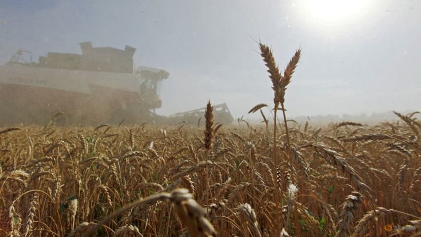 Russia donates wheat to ally Cuba as grains prices soar globally