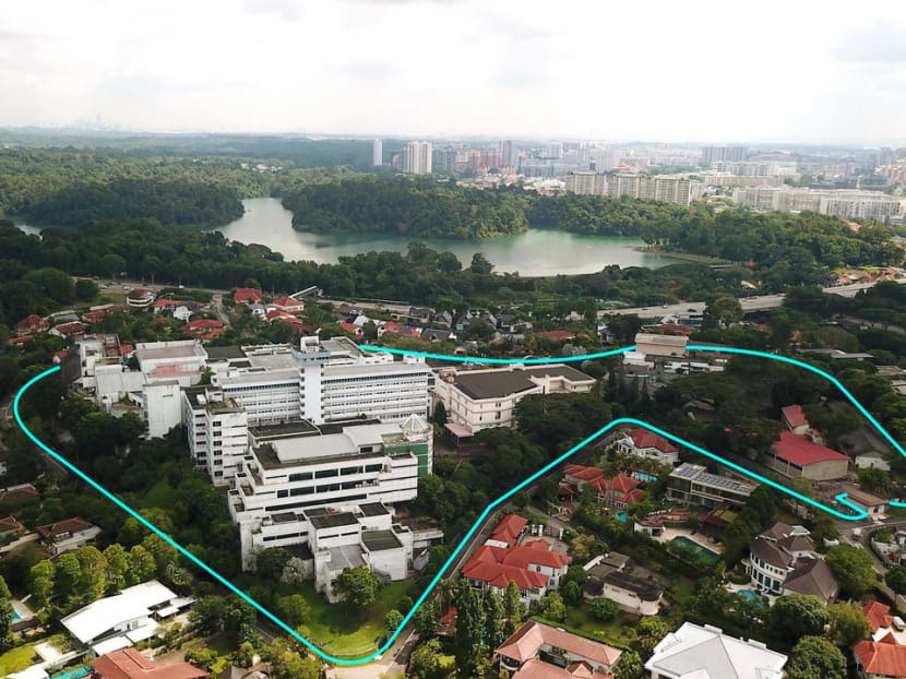 The 7ha site in Andrew Road was formerly occupied by national broadcaster Mediacorp's Caldecott Broadcast Centre.