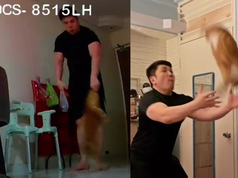 Social media users were outraged by viral videos showing a man allegedly mistreating a cat by throwing it into the air, swinging it by its limbs and spinning it around on the floor. Social media users were outraged by viral videos showing a man allegedly mistreating a cat by throwing it into the air, swinging it by its limbs and spinning it around on the floor.