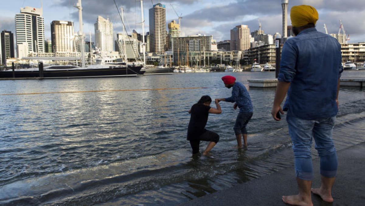 New Zealand softens ban on home ownership by foreigners, S’poreans