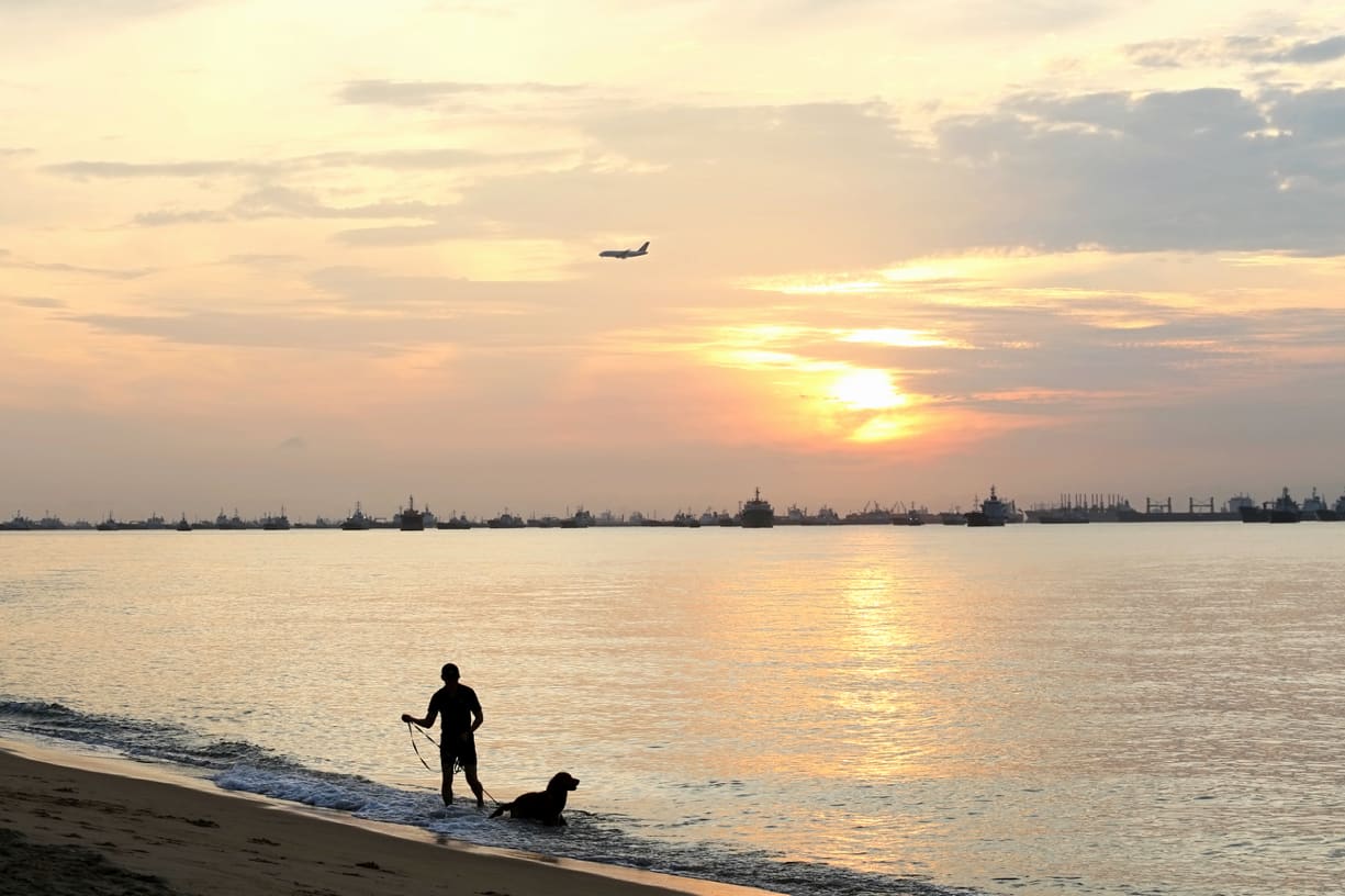 This stretch of the East Coast Park could one day become a part of the "Long Island". This stretch of the East Coast Park could one day become a part of the "Long Island".