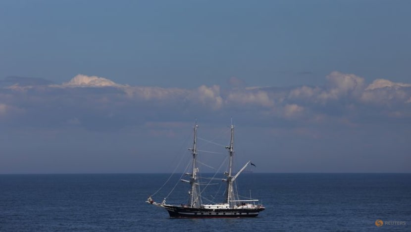 Denmark, US and 12 other nations back tougher climate goal for shipping Denmark, US and 12 other nations back tougher climate goal for shipping
