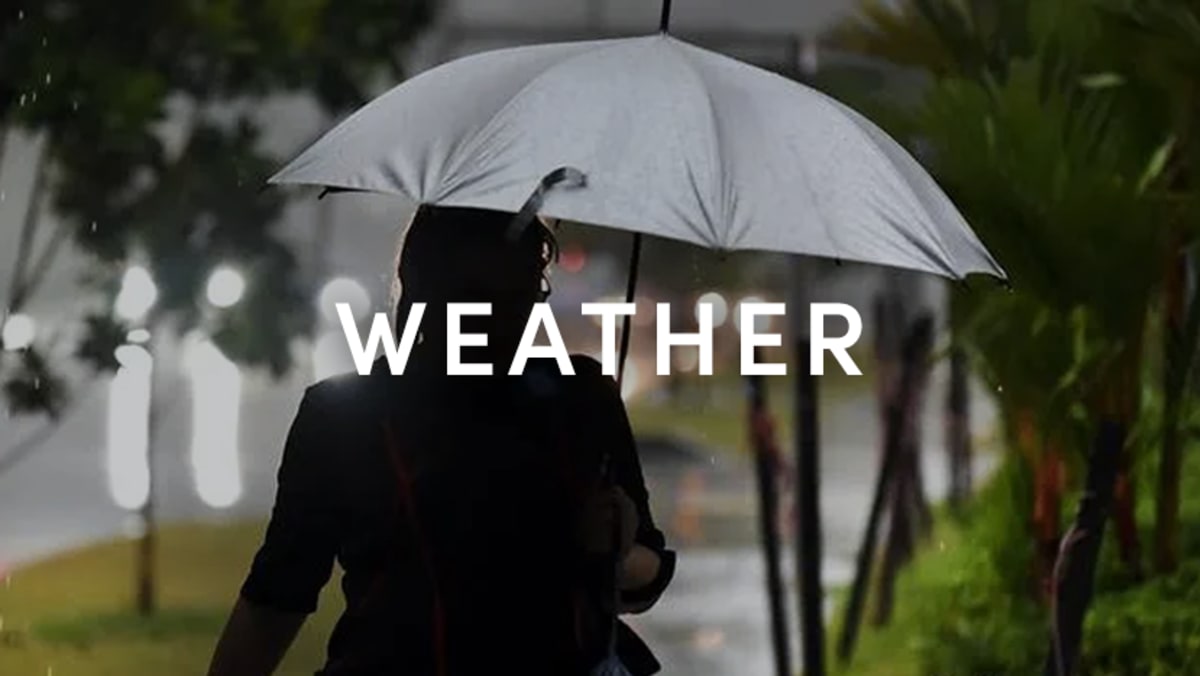 Singapore Weather Hourly Forecasts & Alerts Plan Your Day with CNA