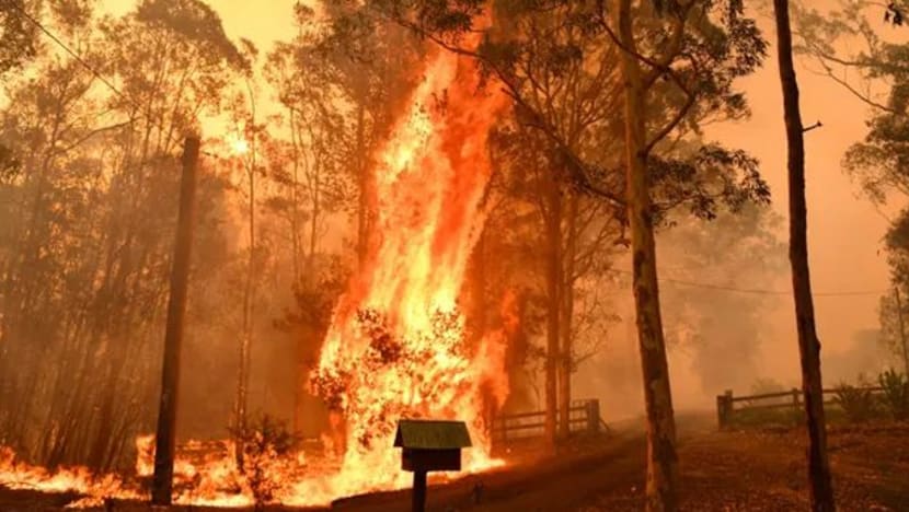 Kebakaran belukar Australia dijangka semakin marak dengan suhu meningkat