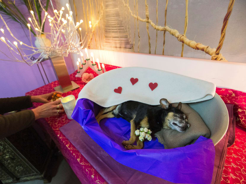 Gallery: Pets get send-off with a human touch