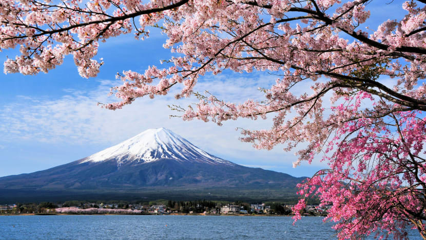 Scoot Will Soon Fly Direct To Tokyo & Relaunch Osaka Flights; Tix From $263 One Way Scoot Will Soon Fly Direct To Tokyo & Relaunch Osaka Flights; Tix From $263 One Way