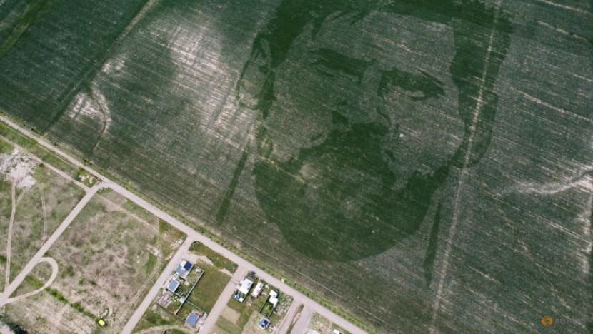 Argentine corn field planted with face of World Cup winner Messi Argentine corn field planted with face of World Cup winner Messi