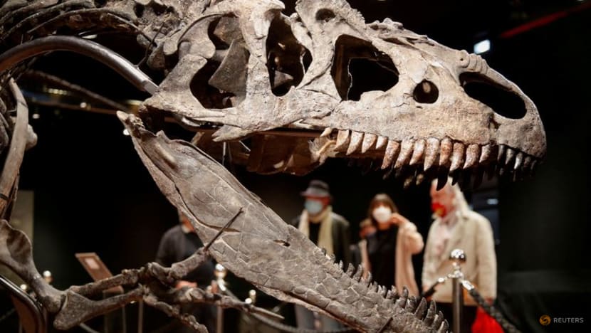 Eye socket changes amped up bite force in T rex and friends Eye socket changes amped up bite force in T rex and friends