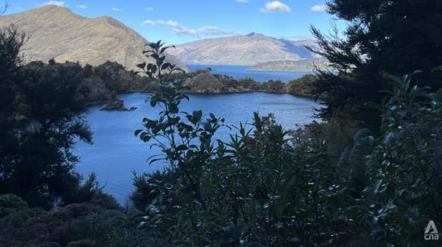 After 2 difficult pandemic years, I found closure – and rediscovered bliss – in New Zealand