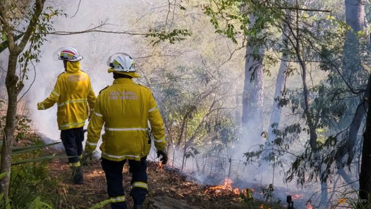 Australia fires force evacuations as country swelters