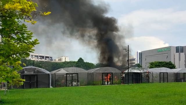 裕廊东社区花园起火 园地被烧成灰烬