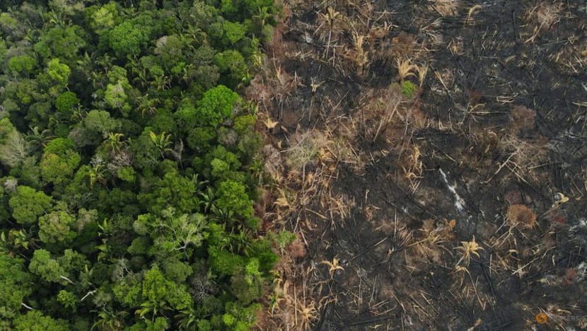 Amazon fires surge anew in Brazil as cleared forest burns Amazon fires surge anew in Brazil as cleared forest burns