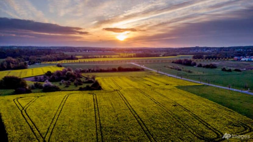 Germany aims for net zero emissions by 2045, 5 years earlier Germany aims for net zero emissions by 2045, 5 years earlier