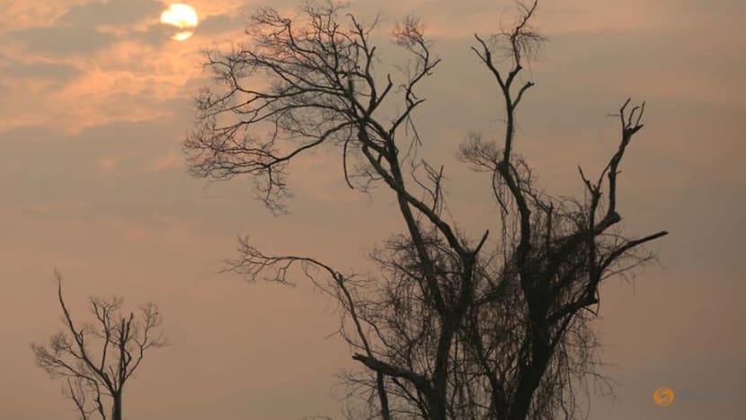 Amazon fires a 'tipping point': Forestry group chief Amazon fires a 'tipping point': Forestry group chief