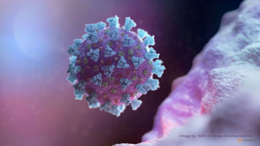 US CDC says new COVID-19 lineage could cause infections in vaccinated individuals