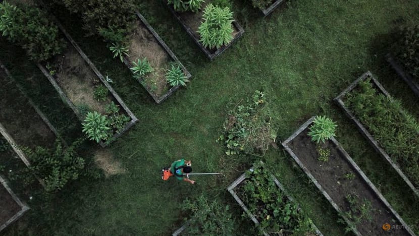 Urban garden in Rio feeds hundreds of families in former ‘crackland’ Urban garden in Rio feeds hundreds of families in former ‘crackland’