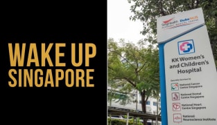 Wake Up Singapore admin charged with defamation for allegations over KKH miscarriage in online article