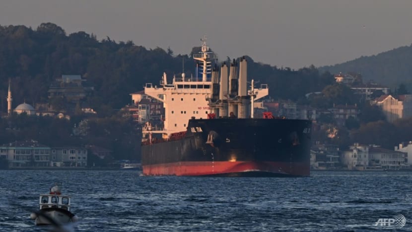 Black Sea grain deal extended, Turkey and Ukraine say Black Sea grain deal extended, Turkey and Ukraine say