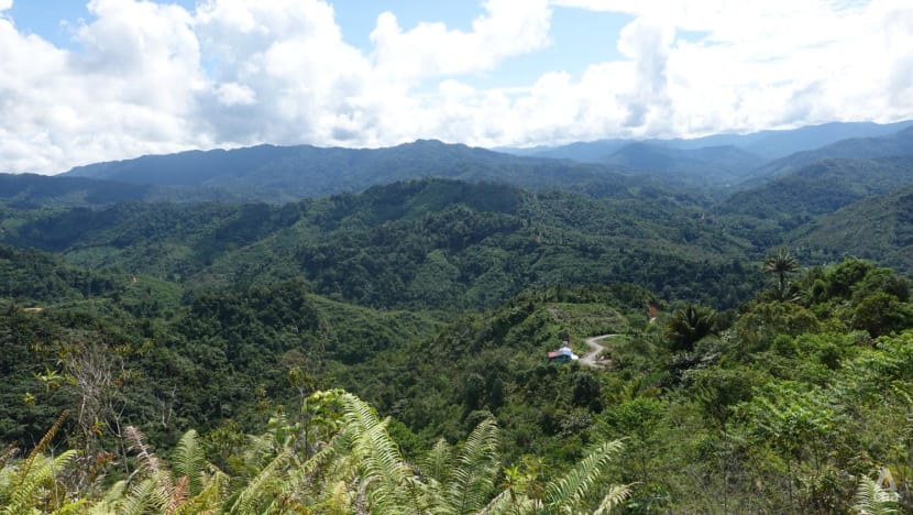 Sabah 100-year carbon trading deal: Controversy as indigenous communities bemoan lack of consultation, details Sabah 100-year carbon trading deal: Controversy as indigenous communities bemoan lack of consultation, details