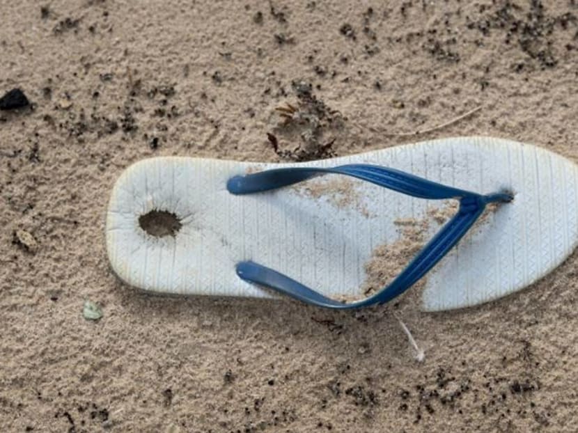 Walking with a lighter environmental footprint Walking with a lighter environmental footprint