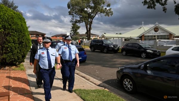 Teenager charged with terrorism over Sydney bishop stabbing 