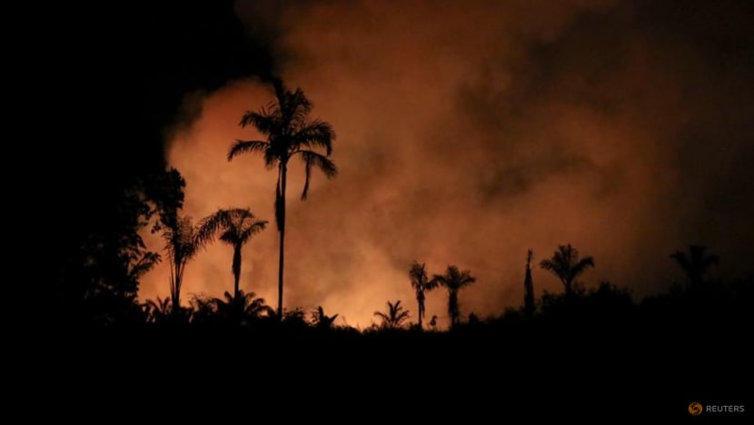 Amazon fires surge anew in Brazil as cleared forest burns