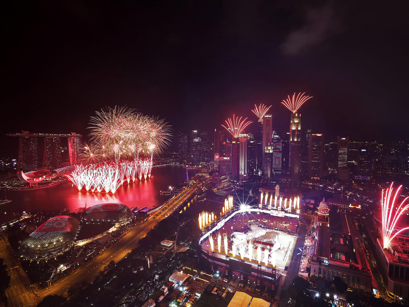 Fireworks during NDP2015. Photo: Wee Teck Hian
