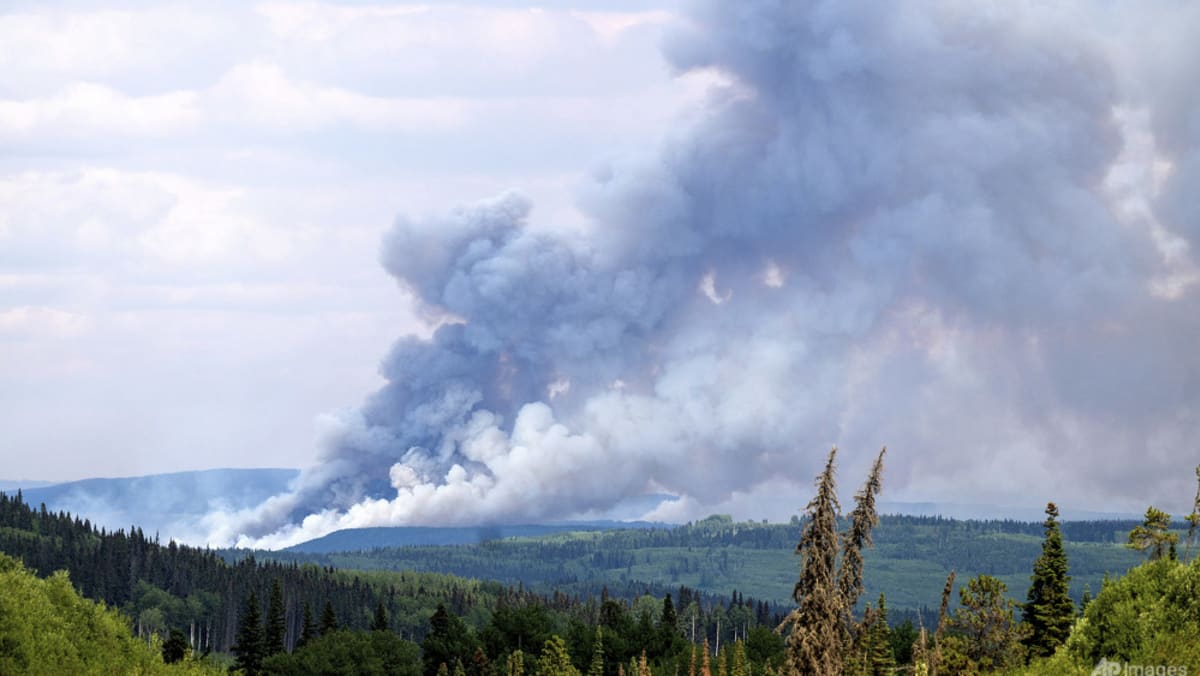 Global heat is just the latest 2023 extreme that shows an Earth in crisis - Vimarsana News