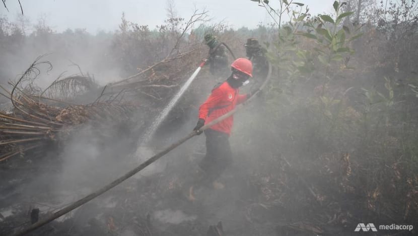 Riau declares haze emergency as API exceeds 500 Riau declares haze emergency as API exceeds 500