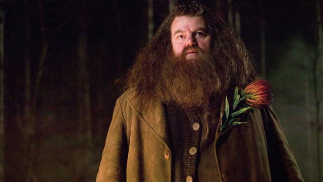 “Harry Potter”饰“Hagrid”演员医院逝世　死因未公开