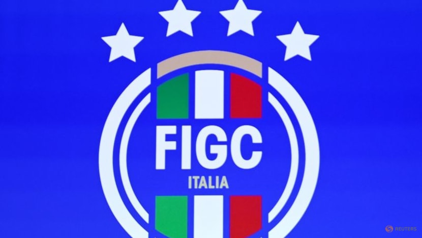 Italy's soccer association probed over amateur youth tournaments 