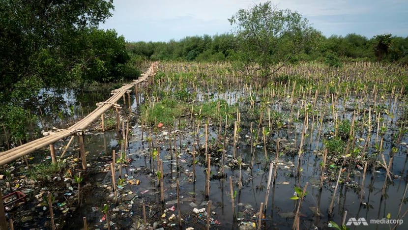Last mangrove ecosystem in Jakarta city under threat from land subsidence and climate change