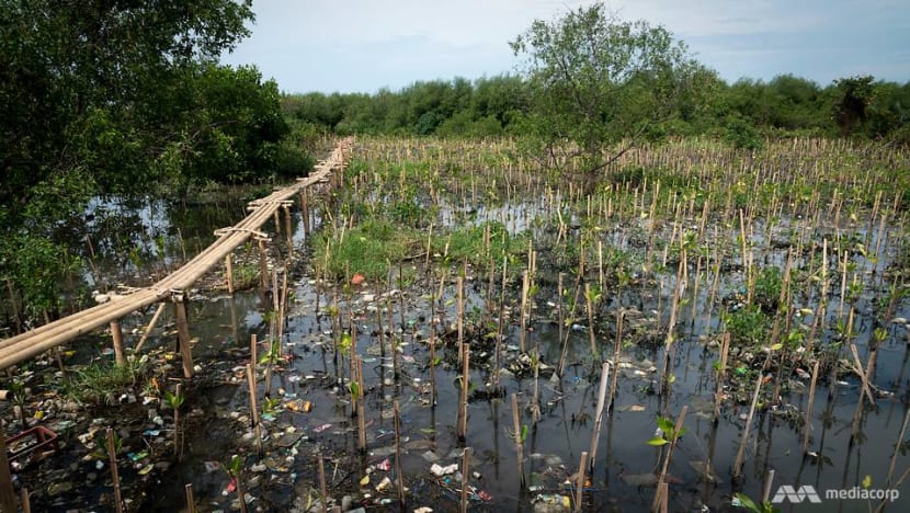 Last mangrove ecosystem in Jakarta city under threat from land subsidence and climate change Last mangrove ecosystem in Jakarta city under threat from land subsidence and climate change