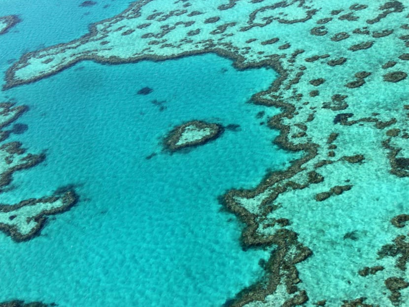 Scientists said at least 35 per cent of the Great Barrier Reef was dying or already dead. All references to Australia were removed from a UN report on climate change and World Heritage sites after objections from Canberra, in a move scientists and activists called 'extremely disturbing'. Photo: AFP