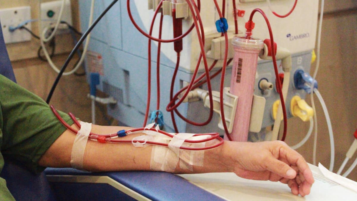 Singaporean startup’s portable ‘kidney’ could shrink dialysis machines