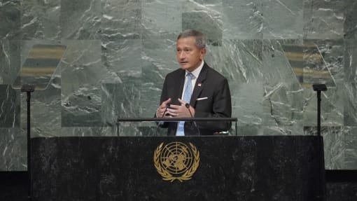 Upholding inclusive, rules-based multilateral system is 'only way forward': Vivian Balakrishnan