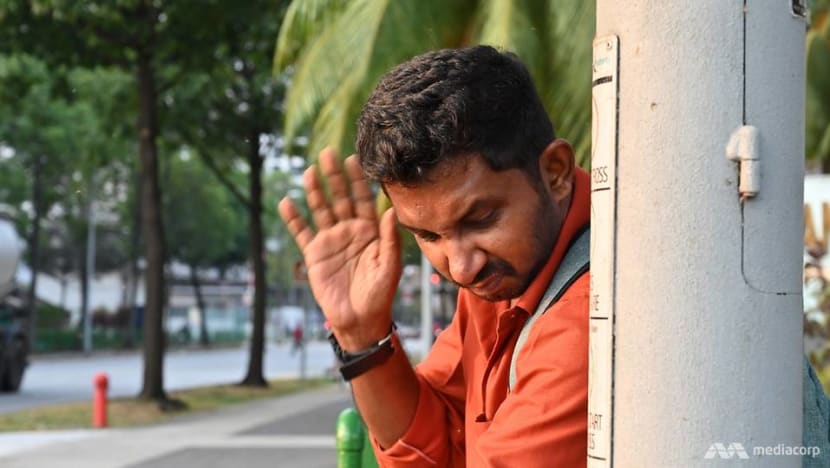 Pandan Reservoir midge infestation: 'You can say that we’ve given up' Pandan Reservoir midge infestation: 'You can say that we’ve given up'