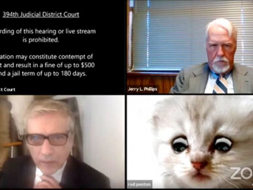 Attorney-at-paw? Zoom filter makes lawyer look like fluffy cat in court hearing Attorney-at-paw? Zoom filter makes lawyer look like fluffy cat in court hearing