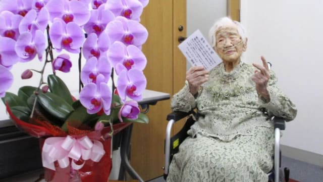 日本百岁老人人数再创新高