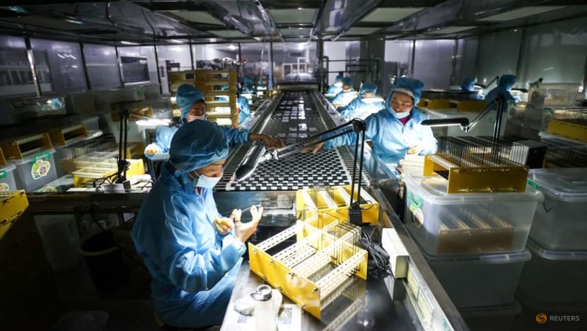 China #39 s factories fall deeper into contraction more policy support