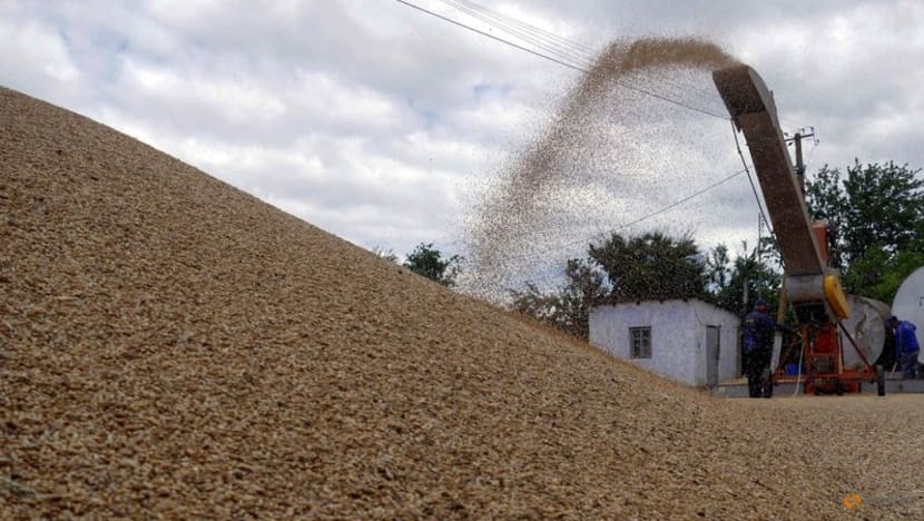 Erdogan wants Ukraine grain sea exports deal in writing this week Erdogan wants Ukraine grain sea exports deal in writing this week