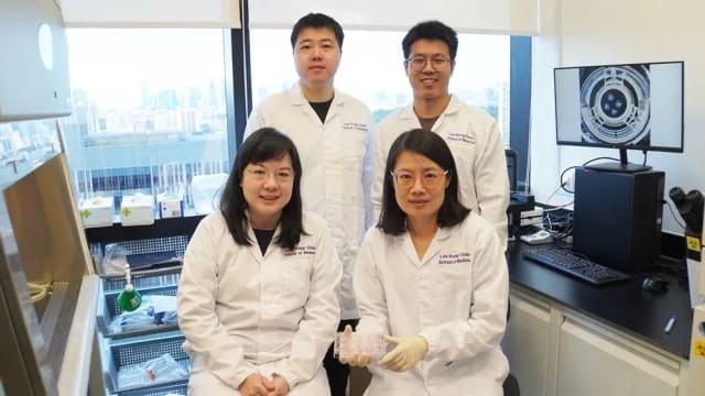 南大科学家培育出“迷你肾脏” 探讨治疗多囊肾病方法
