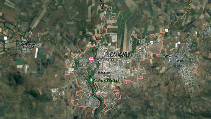 59 bodies found in clandestine graves in Mexico's Guanajuato state 59 bodies found in clandestine graves in Mexico's Guanajuato state
