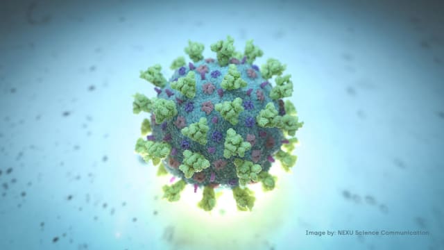 【冠状病毒19】新增两个感染群 病患包括六岁男童