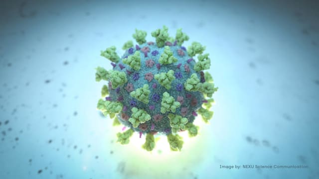 研究：接种疫苗或感染原始毒株产生抗体 无法免疫奥密克戎毒株
