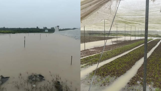 马国柔州多地发生水灾 当地蔬菜供应料将受影响